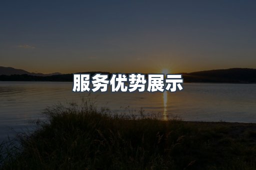 服务优势展示